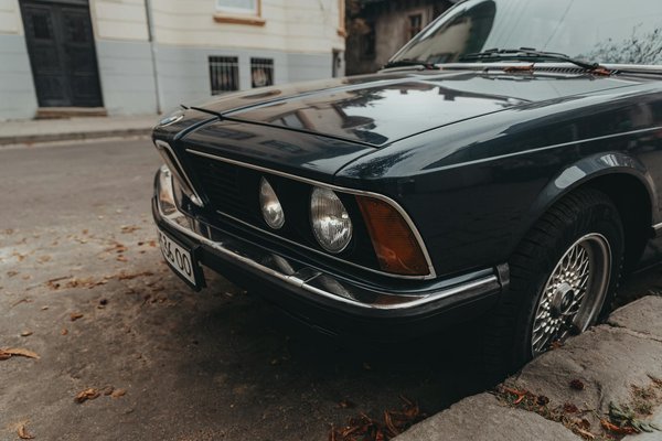 Meisterhafte Zucht seltener Pflanzen im Gewächshaus: Ihre umfassende Schritt-für-Schritt-Anleitung